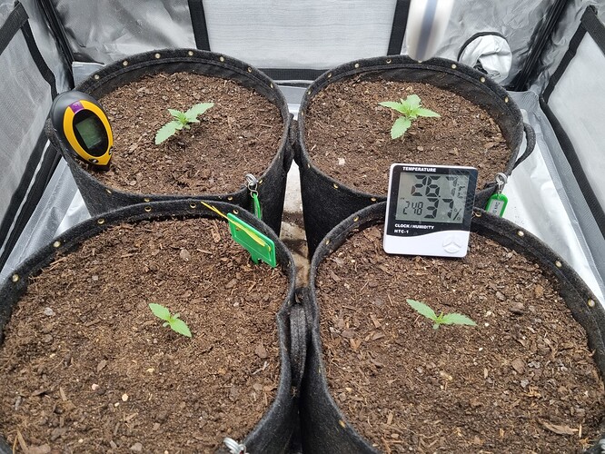 Growreport Bild 22