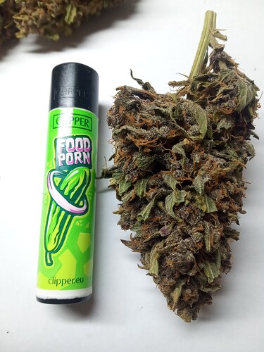 Growreport Bild 3