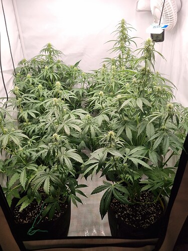 Growreport Bild 21