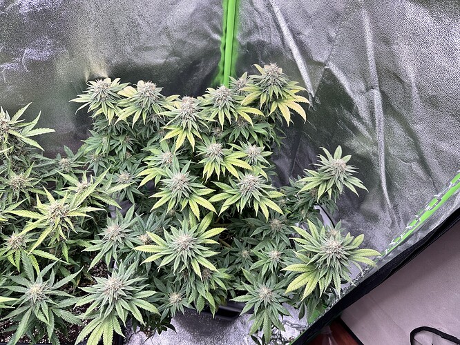 Growreport Bild 14