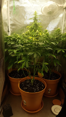 20201206_210655 - Kopie