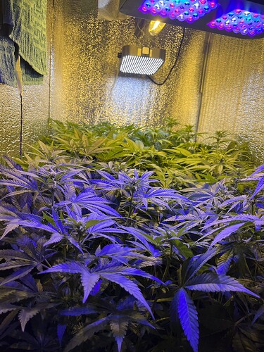 Growreport Bild 8