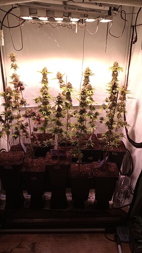 Growreport Bild 12