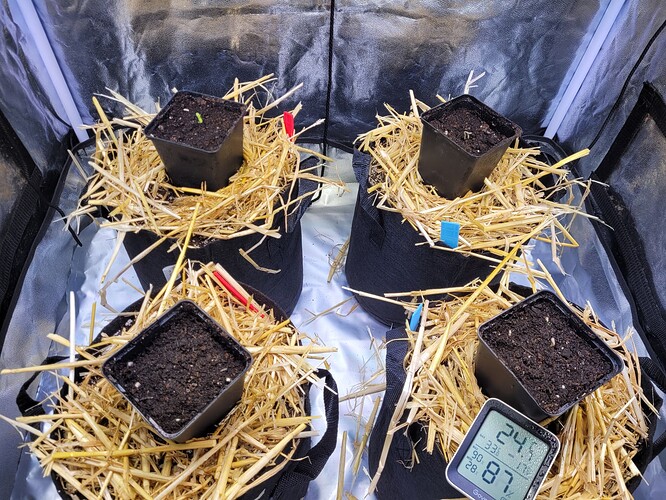Growreport Bild 7