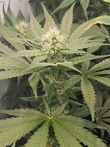 Growreport Bild 12