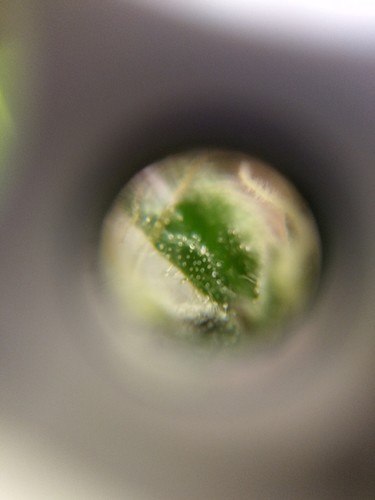 IMAG6329