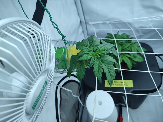 Growreport Bild 25