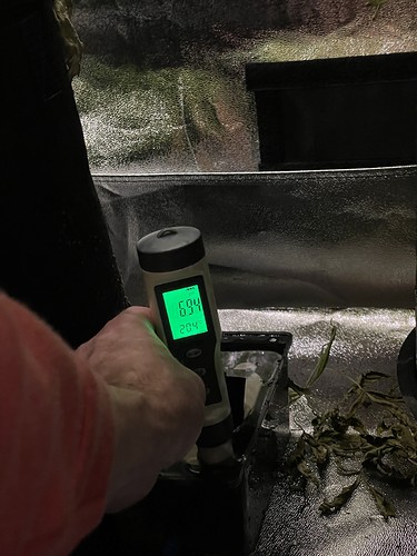 Growreport Bild 6