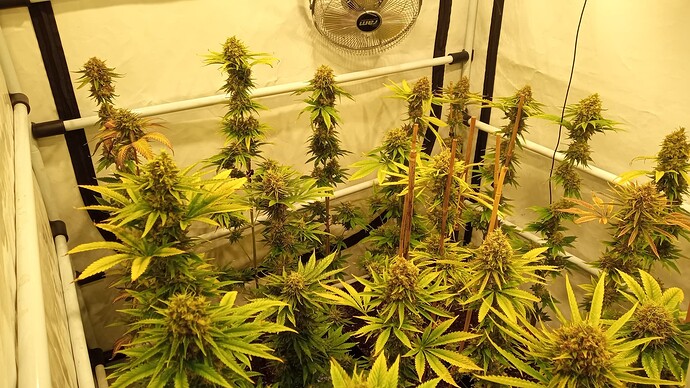 Growreport Bild 3