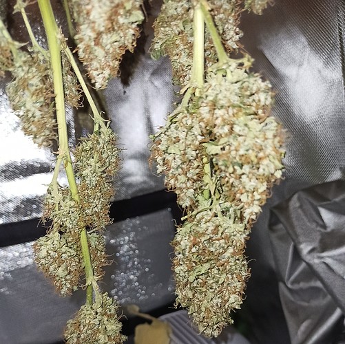 IMG_20210708_142614 (2) - Kopie