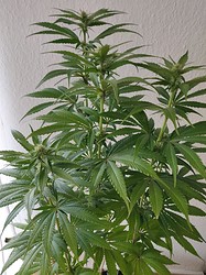 IMG_20210201_132225