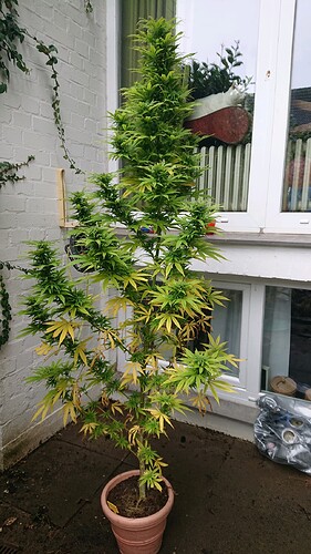Growreport Bild 10