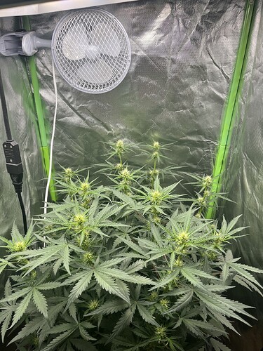 Growreport Bild 11