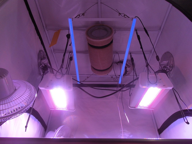 Growreport Bild 13
