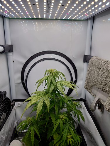 Growreport Bild 2