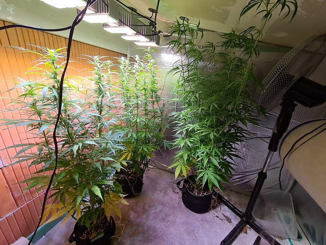 Growreport Bild 5