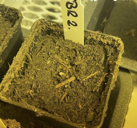 Growreport Bild 16