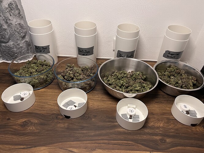 Growreport Bild 18