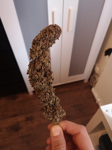 Growreport Bild 5