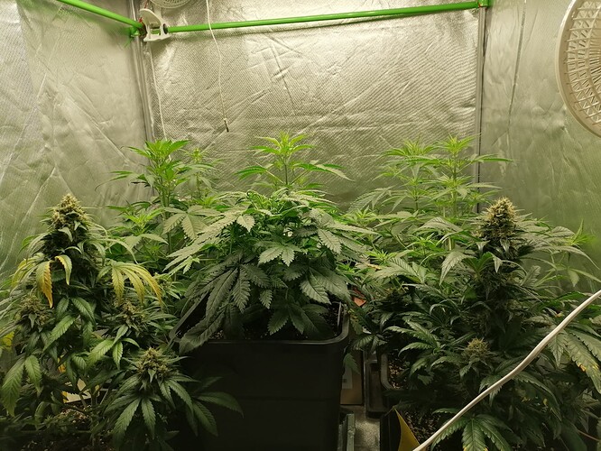 Growreport Bild 11