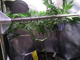 Growreport Bild 12