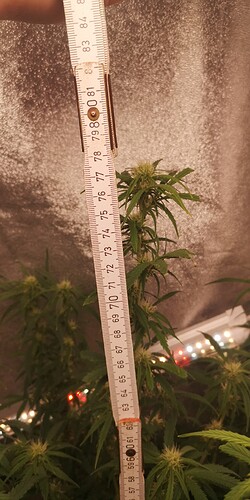 IMG_20240110_095922