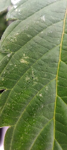 IMG_20221107_213622