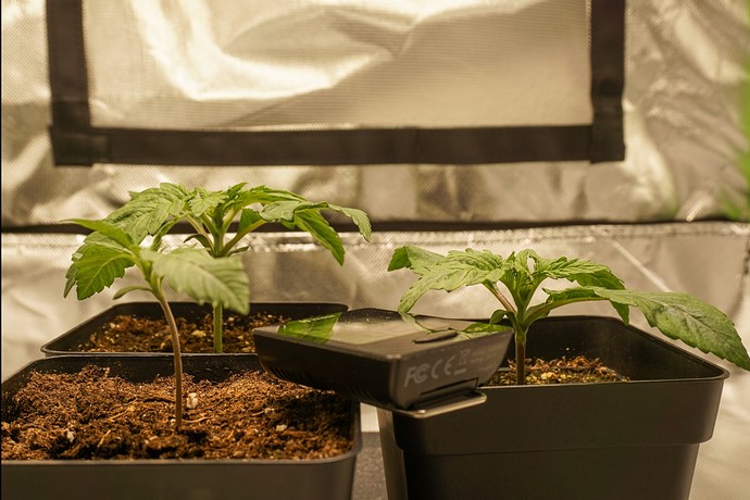 Growreport Bild 8