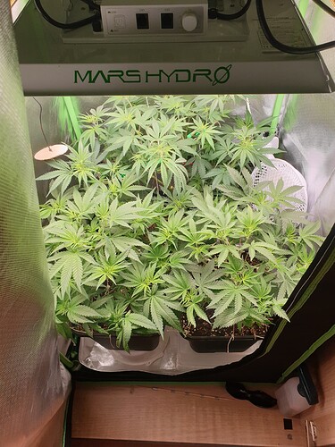 Growreport Bild 7