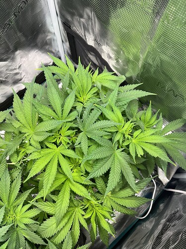 Growreport Bild 18