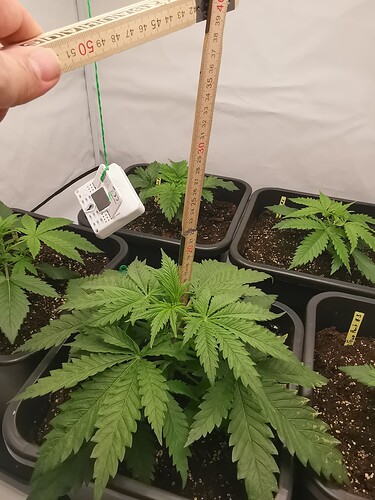 Growreport Bild 14