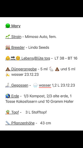 Growreport Bild 3
