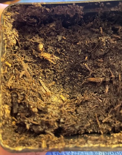 Growreport Bild 1