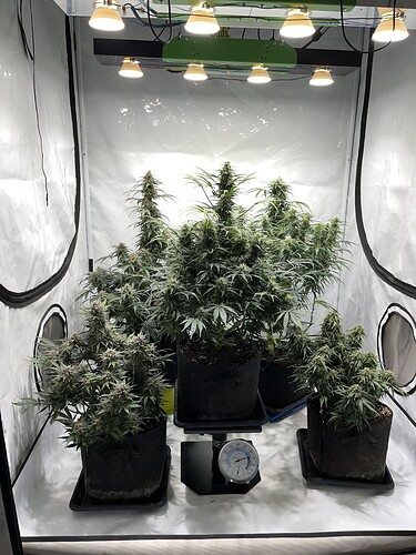 Growreport Bild 10