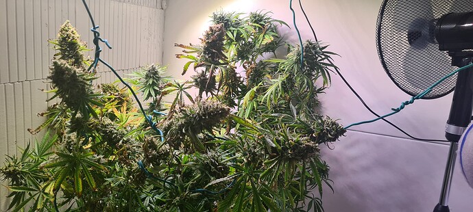 Growreport Bild 23
