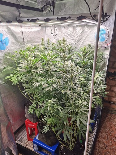 Growreport Bild 22