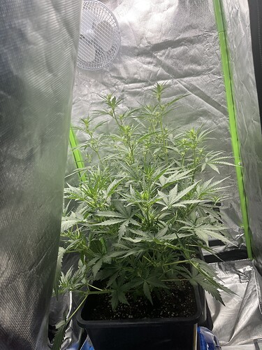 Growreport Bild 24