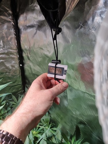 Growreport Bild 14