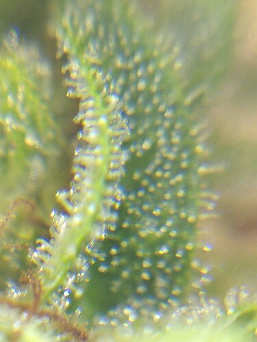 Growreport Bild 16