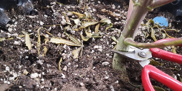 Growreport Bild 10