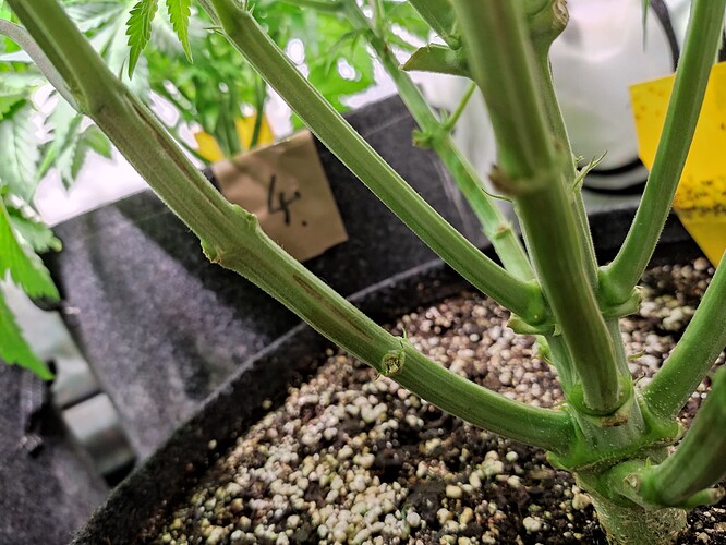 Growreport Bild 9