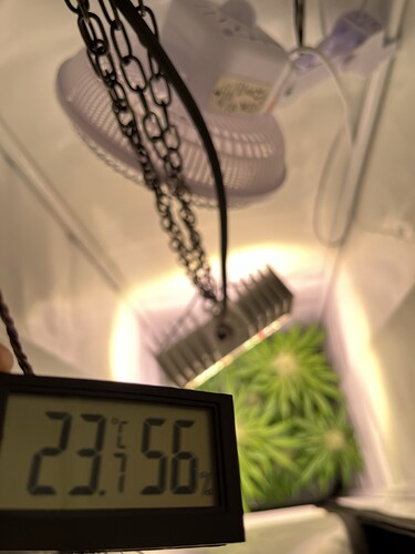 Growreport Bild 31
