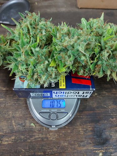 Growreport Bild 24