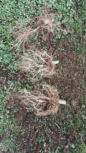 Growreport Bild 22