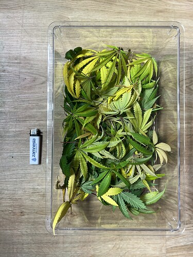 Growreport Bild 25