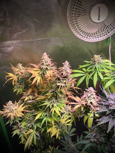 Growreport Bild 12