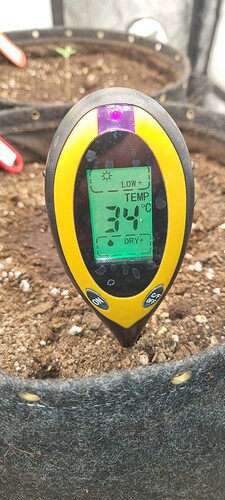 Growreport Bild 17