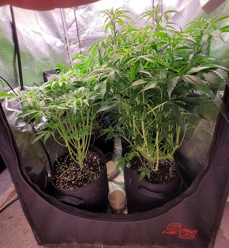Growreport Bild 13