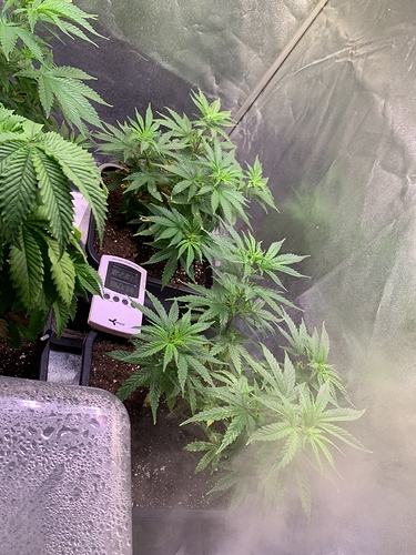 Growreport Bild 6