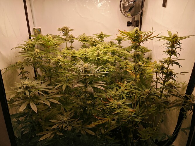 Growreport Bild 5
